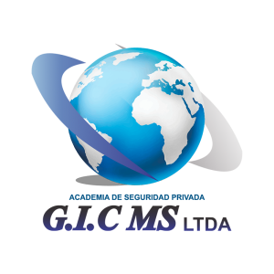 ACADEMIA GIC MS LTDA